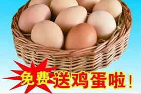 “免费鸡蛋”成骗子的帮凶？又一骗术被揭秘！农民早注意，莫吃亏图片
