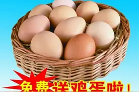 “免费鸡蛋”成骗子的帮凶？又一骗术被揭秘！农民早注意，莫吃亏图片