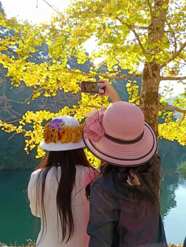 秋风吻尽银杏叶，艳遇醉美帽子峰