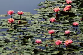 2021年浙江警察学院招生录取分数线图片