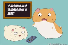 铲屎官回到家，先给猫喂食会让猫开心图片
