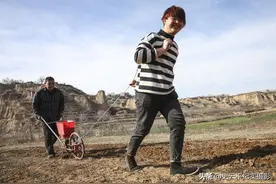 山沟里的“发明”，父子俩用一种改装农具给药材追肥，看看啥情况图片