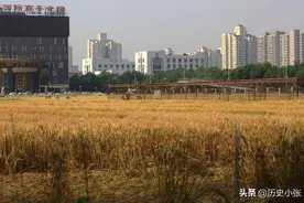 北京三环的百亿麦田位置显赫，无人敢动，背后的故事真不简单图片