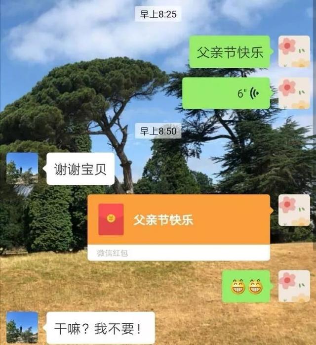 又一波父亲节神回复，网友：是亲爹没错了