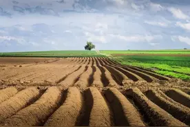 在农村碰到拱地边的地邻怎么办？两个办法去解决，闹事吵架要杜绝图片