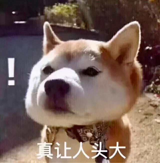 “即使爸爸再忙，也会抽空看美女。”看了娃造的句我笑到打鸣