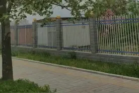 我想上班，我要上班，我爱上班。图片