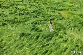 溧水“网红湖”竟然是因为……图片