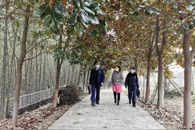精准开展商标奖励扶持！南京市高淳区市场监管局这样做图片