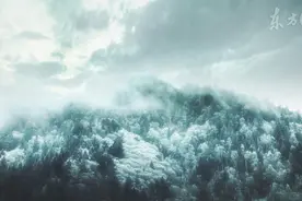 小说：惊！为夺修炼资源，男主竟然对往日师兄...图片