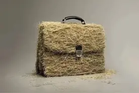 再评“女子骂社区书记‘草包’被跨市行拘”：谨防公权力异化成私人“打手”图片