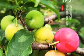 【二十四节气】小满图片