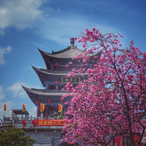 2021вǰ