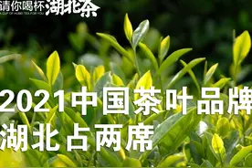 2021中国茶叶品牌十强公布，湖北采花、汉家刘氏上榜图片