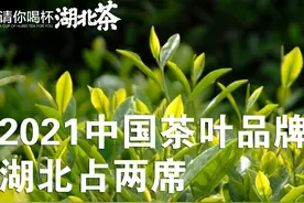 2021中国茶叶品牌十强公布，湖北采花、汉家刘氏上榜图片
