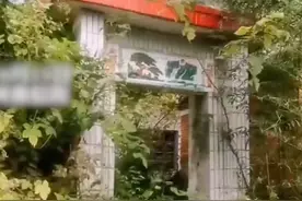 河南一男子回到多年未住的老房子，一声声“妈”叫得让人心碎图片