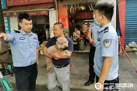 西安“铲屎官”注意！无证养犬被查了莫慌，做到这四步就可领回爱犬图片