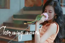 一个芳心纵火犯的自我修养图片