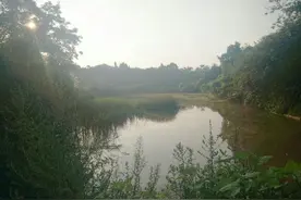 农村土地流转之我见图片