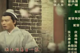 配音团队+独立配音导演使用指南：配音团队都是居于幕后的能手图片