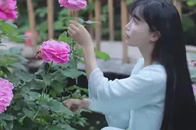 字节跳动，刚刚投了李子柒图片