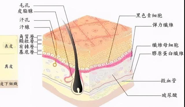 毛周角化搓澡会严重么
