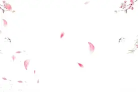 手机壁纸53:目之所及，皆是回忆，心之所想，皆是过往。图片