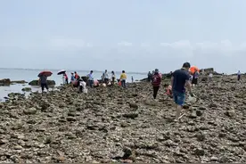 钦州三墩岛，除了一条网红沿海公路它还有什么？图片