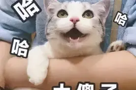 开心一刻｜小时候兴趣班上多了，现在完全没兴趣上班图片