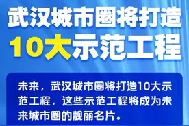 最新规划出炉！武汉城市圈有大动作图片