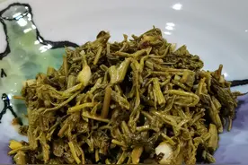 大地馈赠山野菜图片