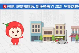 宁宝两会公开课④｜脱贫摘帽后，新任务来了！2021，宁夏这样干图片