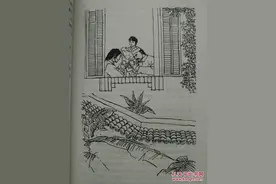 雪山飞狐大结局（完结篇）图片