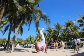 坐着火车去海南，看海南的碧海蓝天，吃海南的美味海鲜图片