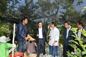 许志晖到电白督导检查：选好党性强懂经营善治理“领头雁”图片