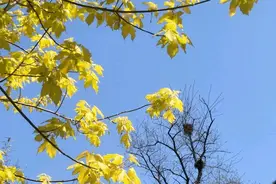 不要变成自己讨厌的人，用力的过好每一天，变成更好的自己图片