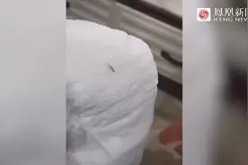 吉安一宝妈在帮宝适尿不湿中发现有活虫在爬 客服回应图片