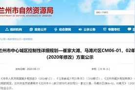 崔家大滩、马滩片区CM06-01、02单元(2020年修改)方案公示图片