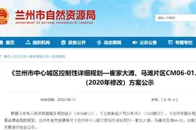 崔家大滩、马滩片区CM06-01、02单元(2020年修改)方案公示图片