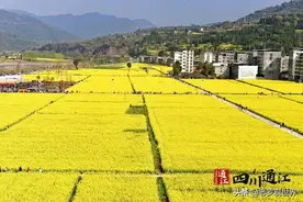 巴中通江这个地方开启“花海”模式，错过要再等一年！图片