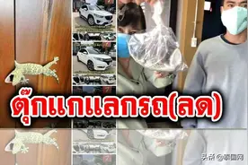 泰国车行推“大壁虎换车”促销，1只壁虎1辆车优惠2万图片