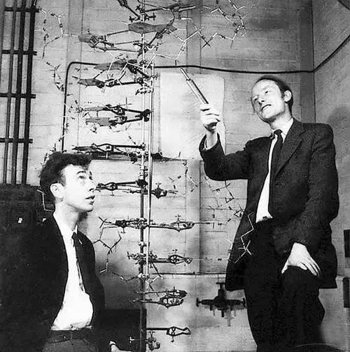 染色体、DNA、基因、RNA傻傻分不清？它们到底有什么区别？