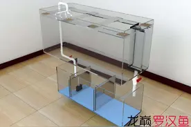 常见的过滤方式介绍以及过滤误区——流氓解说底滤图片