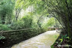 了解盘龙江，从“头”开始……图片