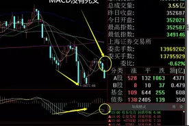 周末股评：下周操作策略，能涨的板块图片