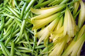 “席上珍品”黄花菜，色泽金黄香味浓郁，庭院种植观赏采食两不误图片