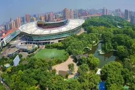 鲁迅公园里的这几棵树竟有这么多故事，你见过它们吗？图片
