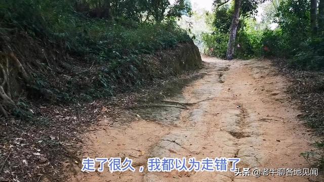 杨贵妃是不是广西容县人？山西陕西四川河南表示不服， 去探查