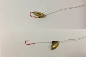 大鱼不可求，微物易钓得，详解路亚白条神器：助投器瓜子亮片钓组图片