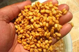 钓鲫鱼规避麦穗鱼的五种有效方法图片